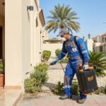 مقال تحليلي يستعرض 5 أسباب لأختيار خدمات شركة مكافحة حشرات محترفة بالكويت لضمان حماية منزلك