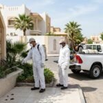دليل بحثي يشرح 3 خطوات لحل مشكلة الحشرات المنزلية بشكل فعال ونهائي بالكويت بطرق مدروسة