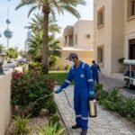 دراسة بحثية لتقييم خدمات شركة مكافحة حشرات بالكويت اكبر ضمان في حولي والفروانية